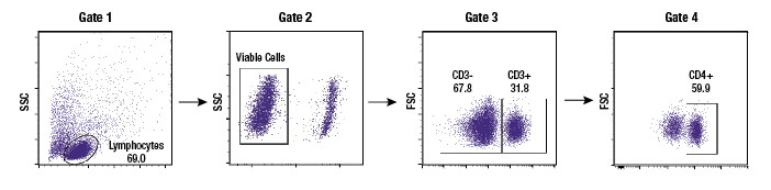 Gating strategy to identify live cells and specific immune cell subpopulations
